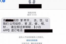 河北区为什么选择专业追讨公司来处理您的债务纠纷？